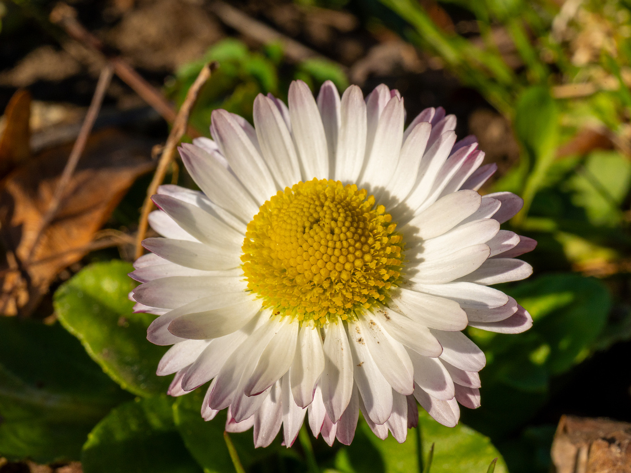 _luganuse-kalmistu_1-32