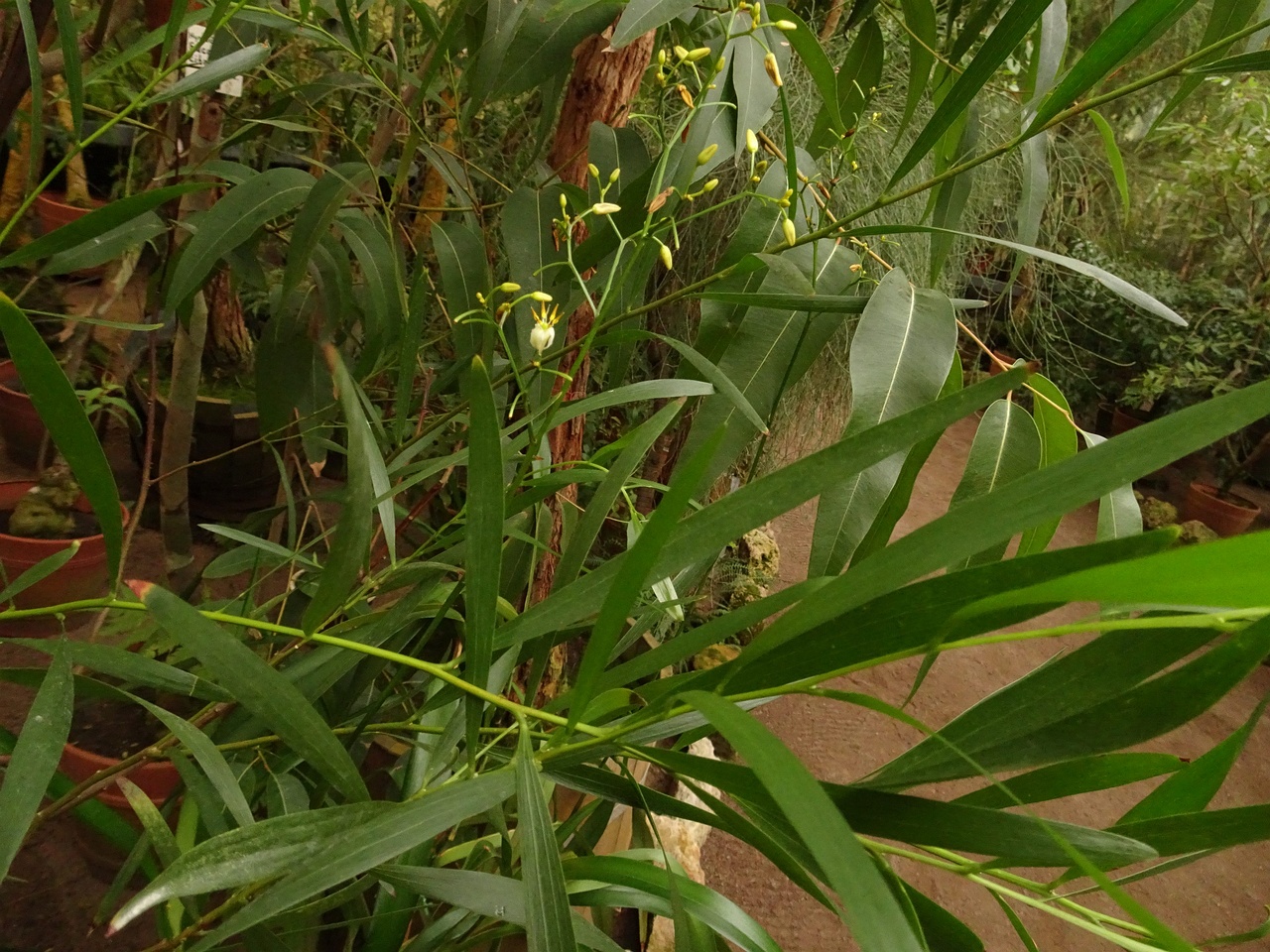 DSC01647