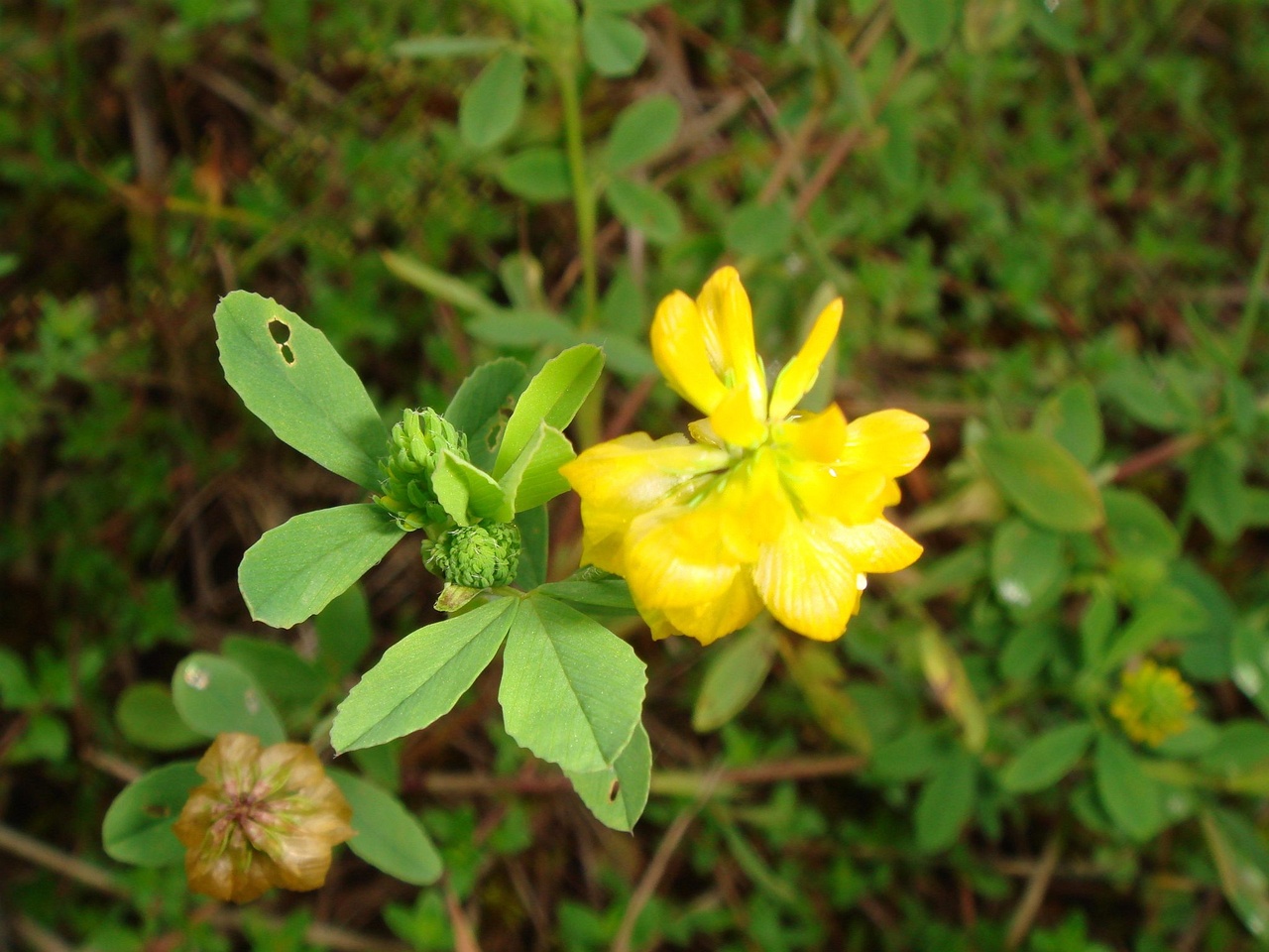 DSC09489