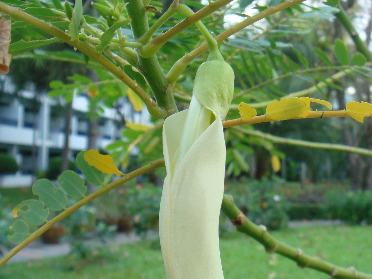 DSC05834