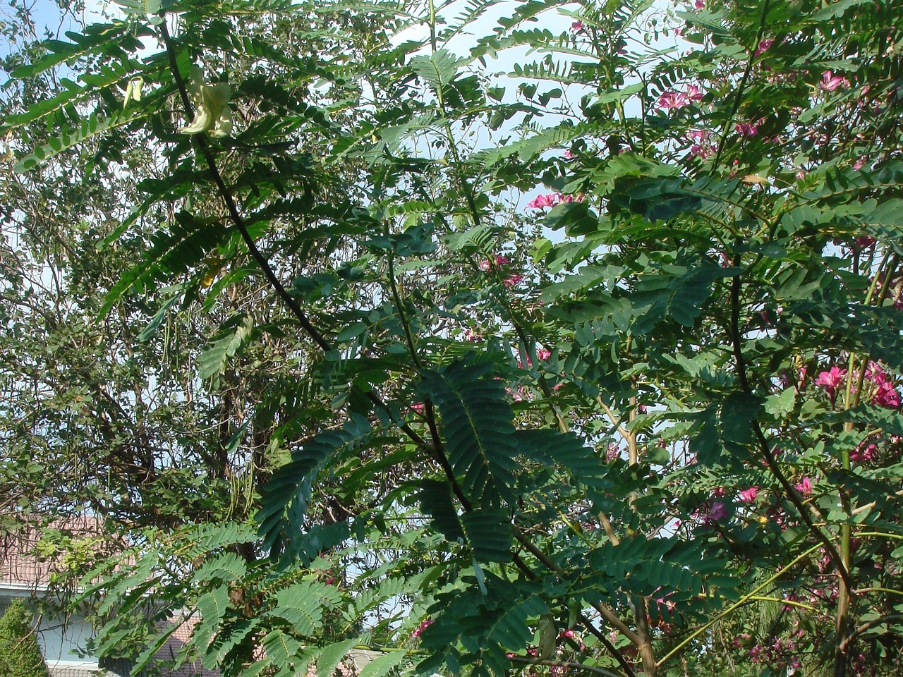 DSC05842