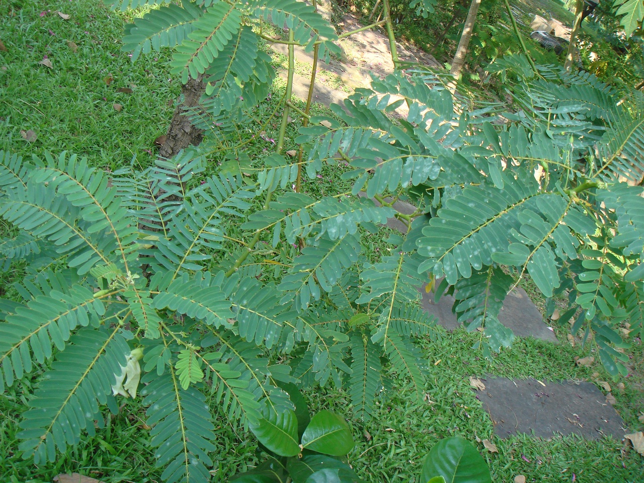 DSC05843