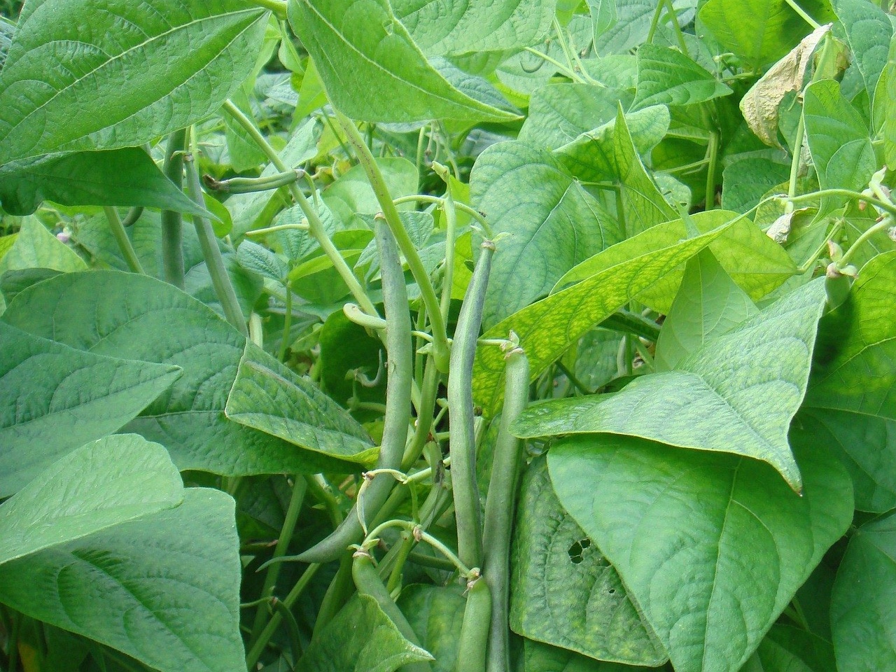 DSC03358