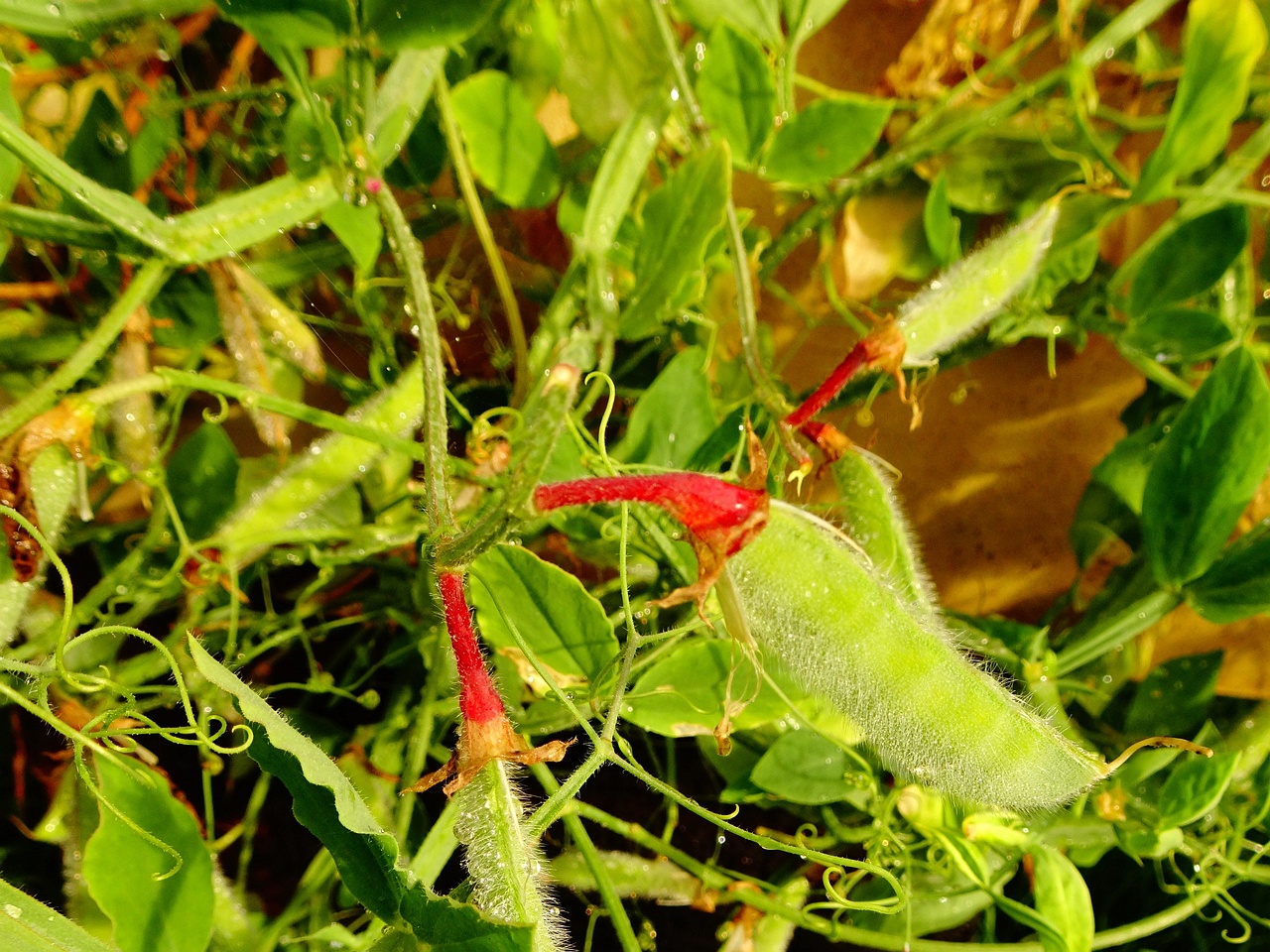 DSC00166
