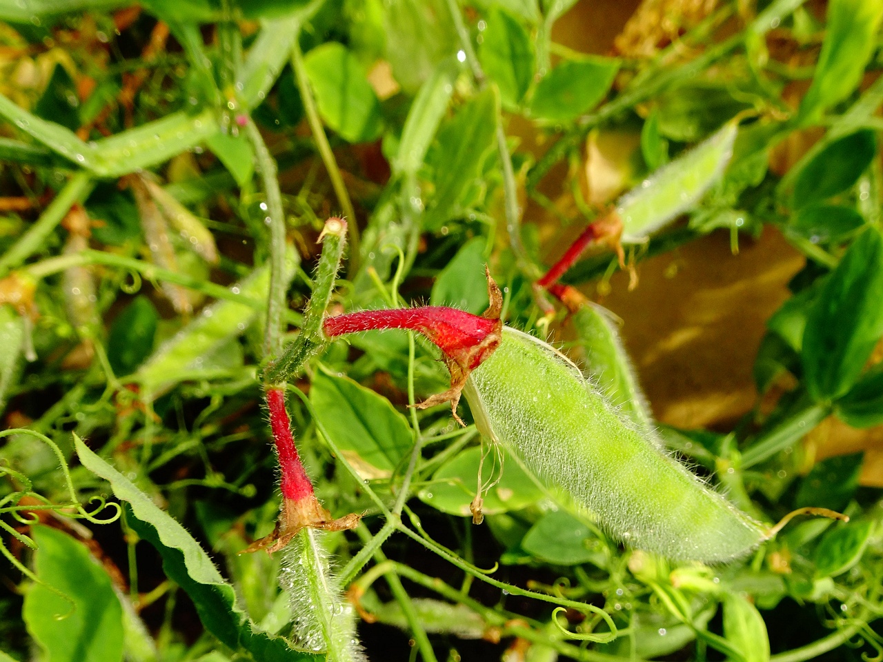 DSC00167