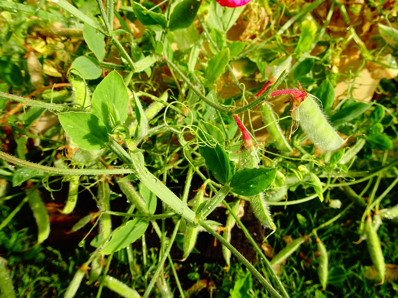 DSC00168