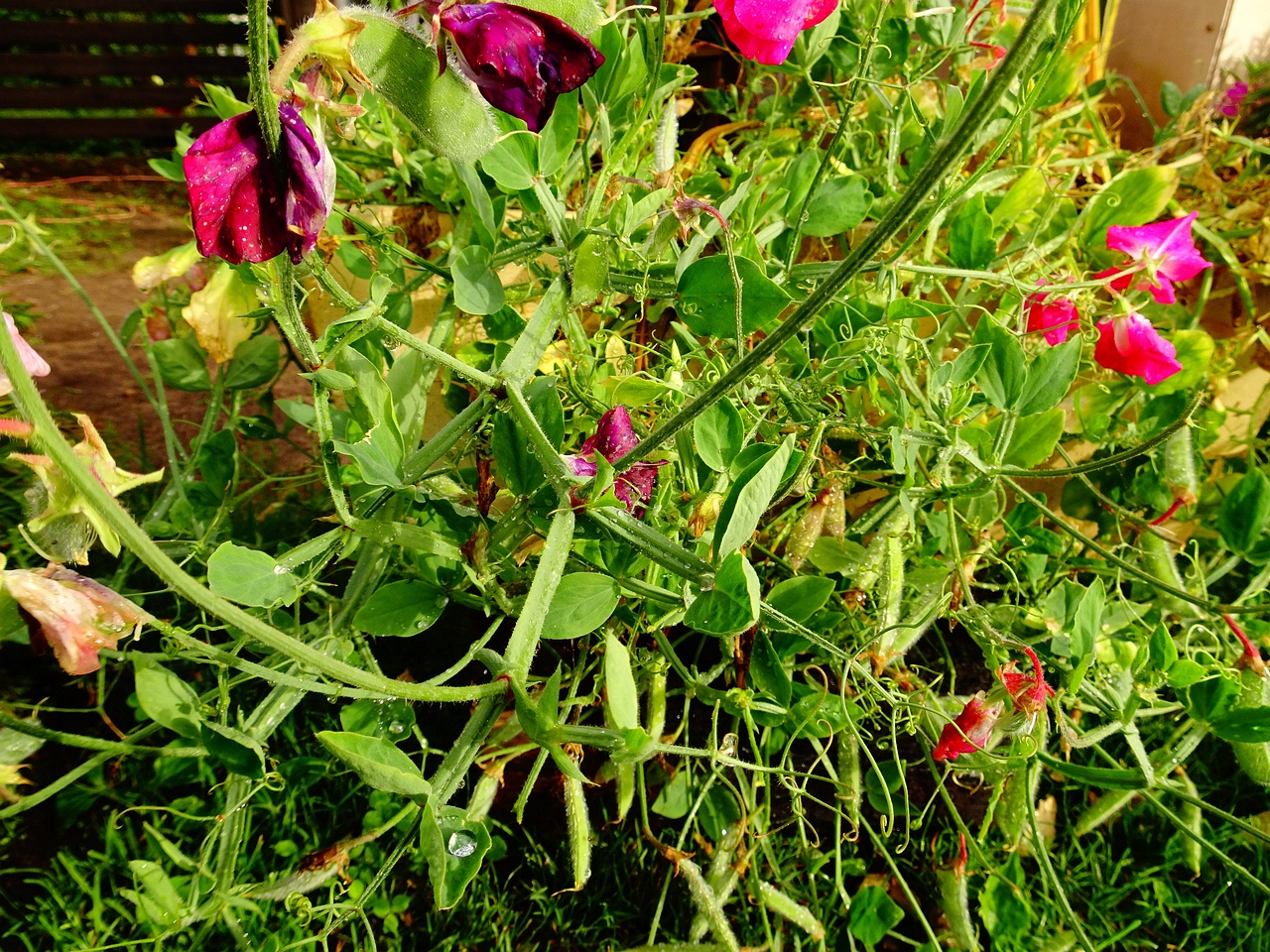 DSC00169