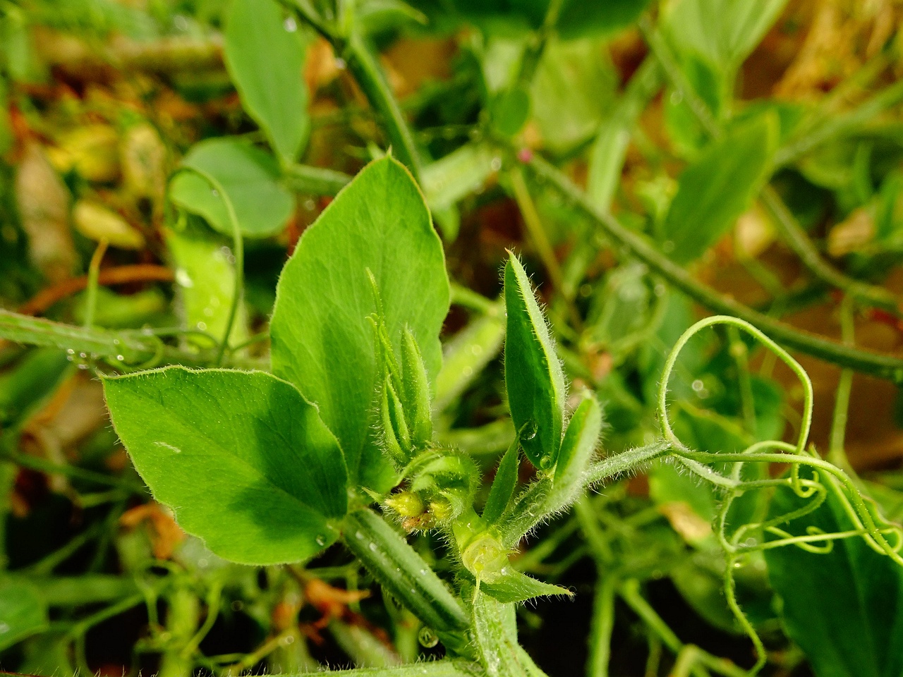 DSC00170