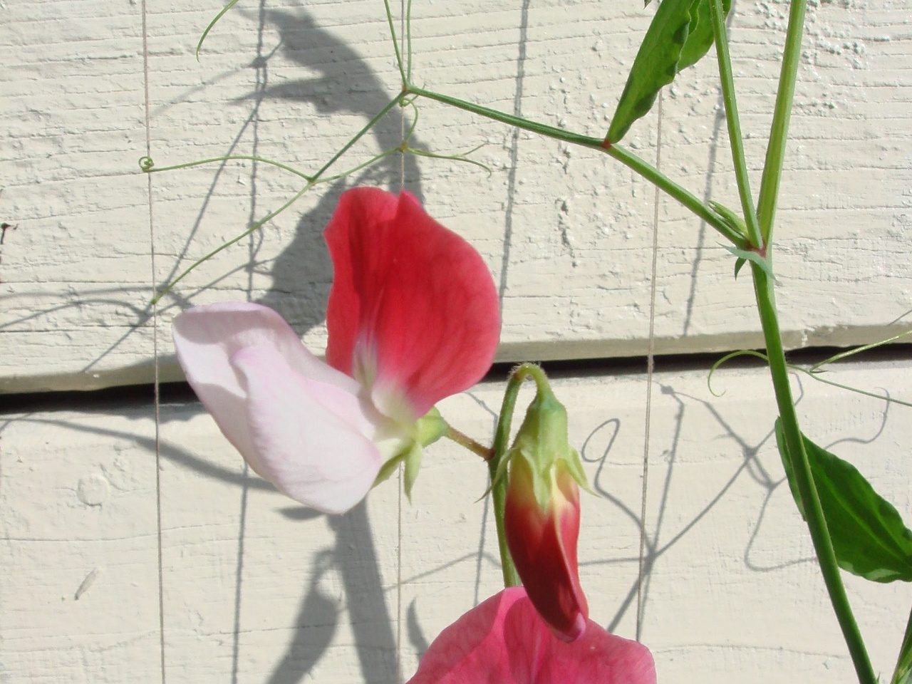 DSC00235