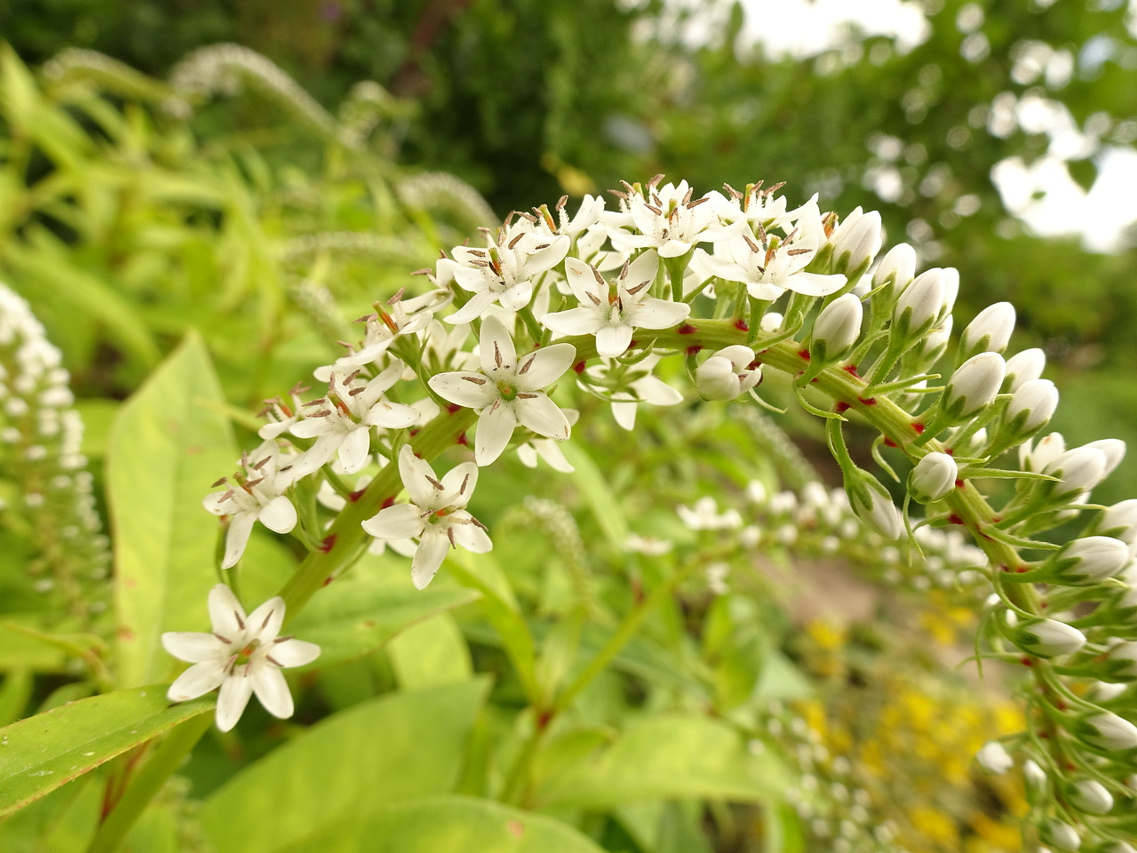 0DSC05047