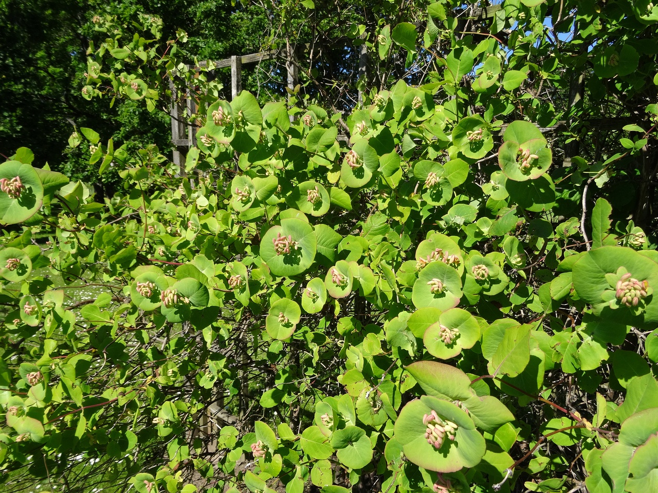 DSC04483