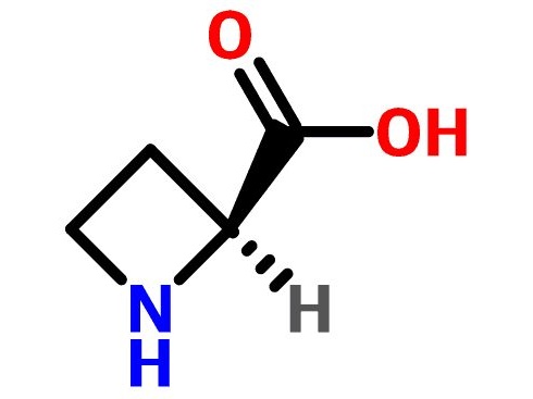 L-Azetidine 2-carboxylic acid