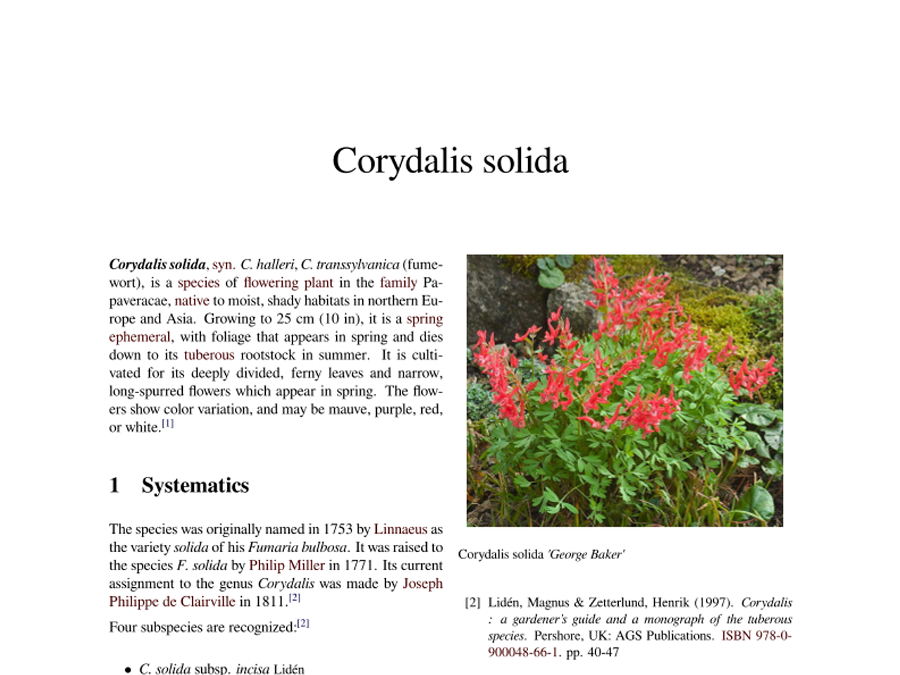 Corydalis_solida_wiki_en