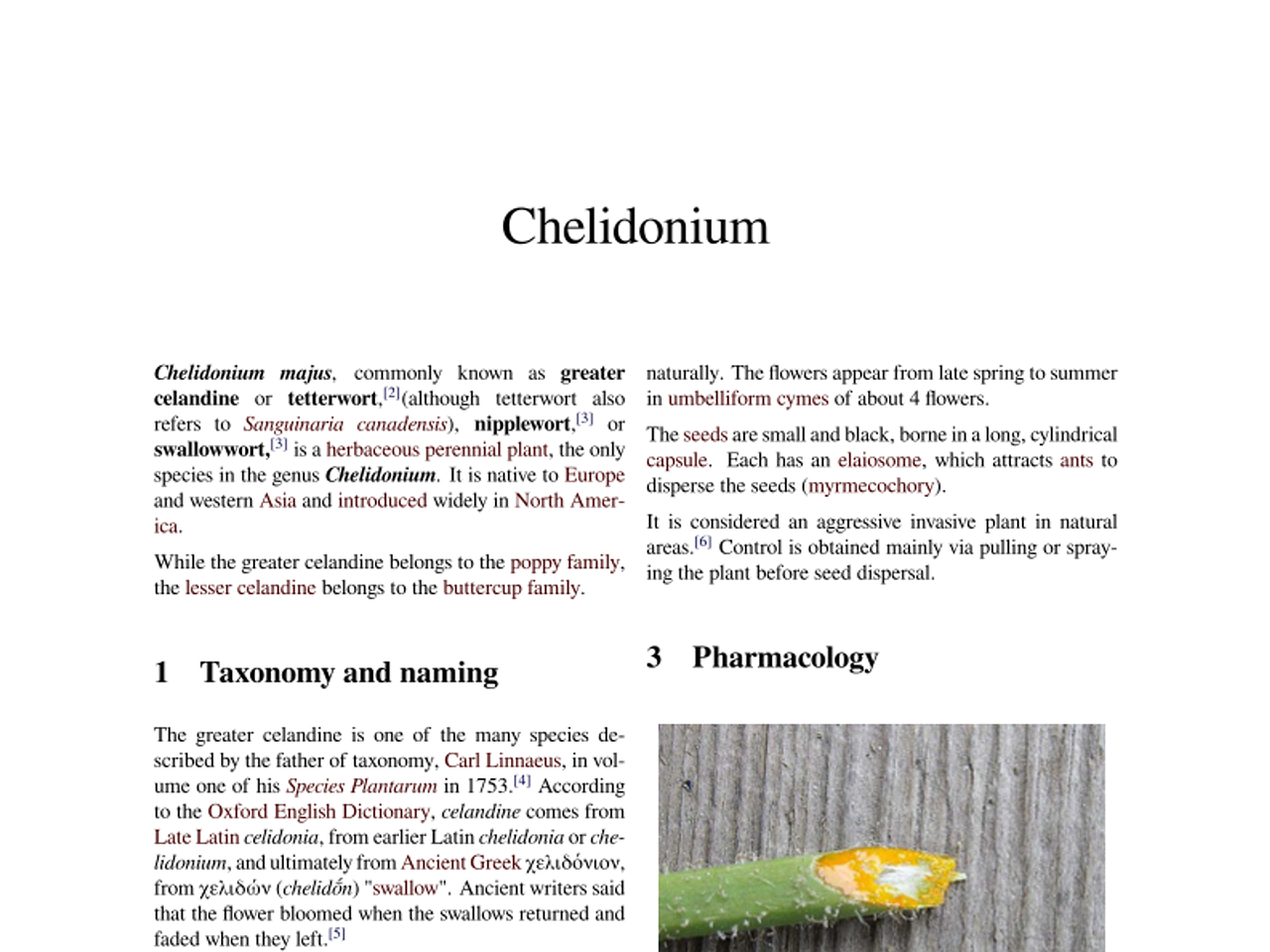 Chelidonium_majus_wiki_en