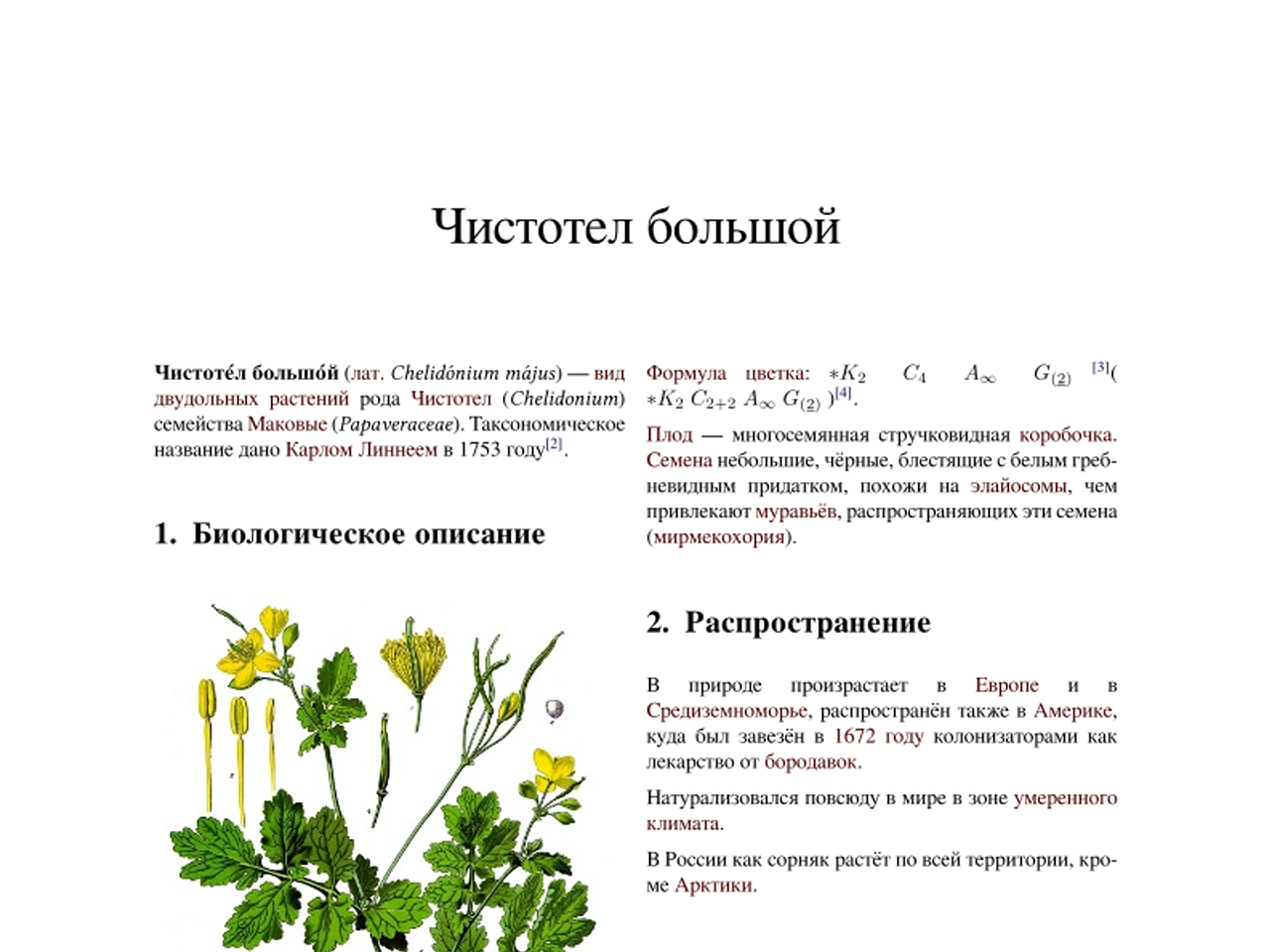 Chelidonium_majus_wiki_ru