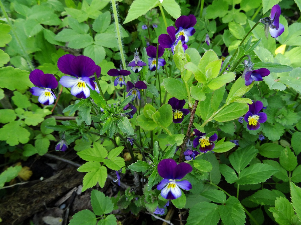 DSC00058