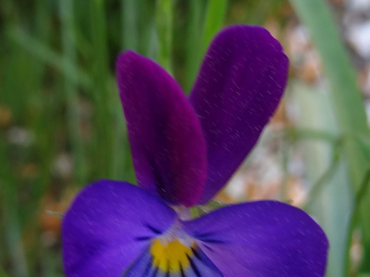 DSC03194_