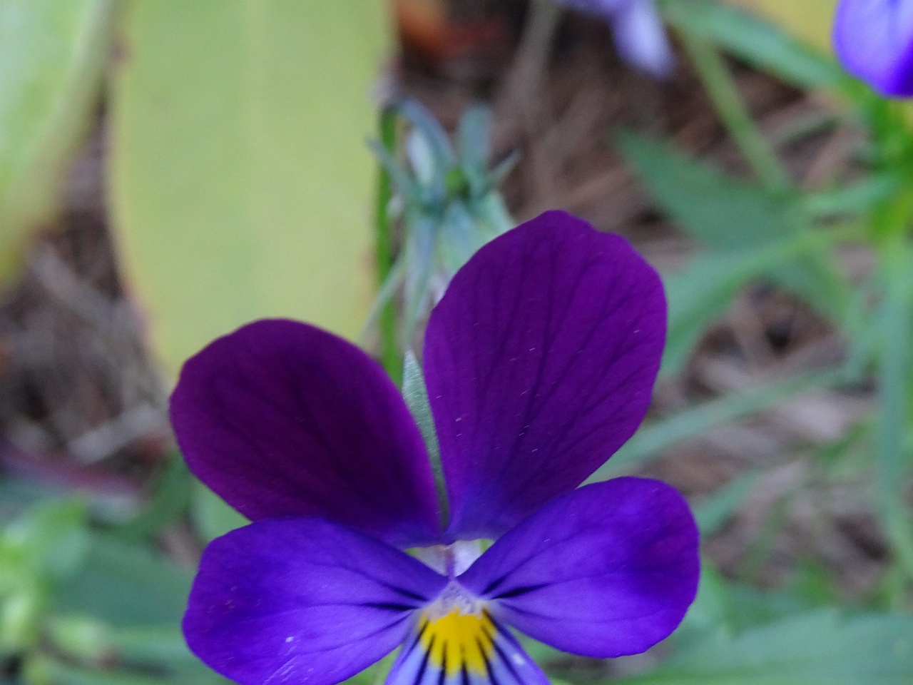 DSC04701