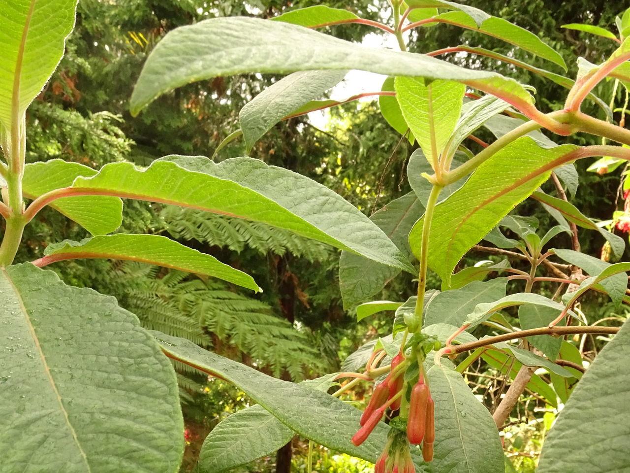 DSC07620