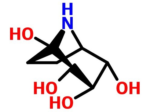 Calystegin B2