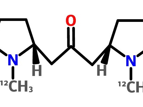 Cuscohygrine