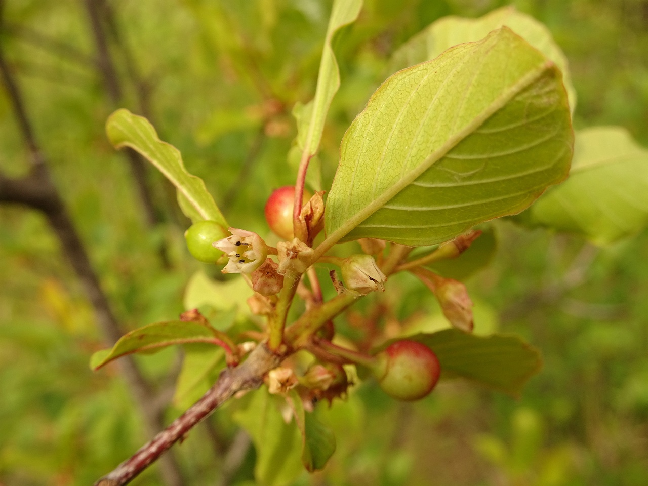 00DSC03420