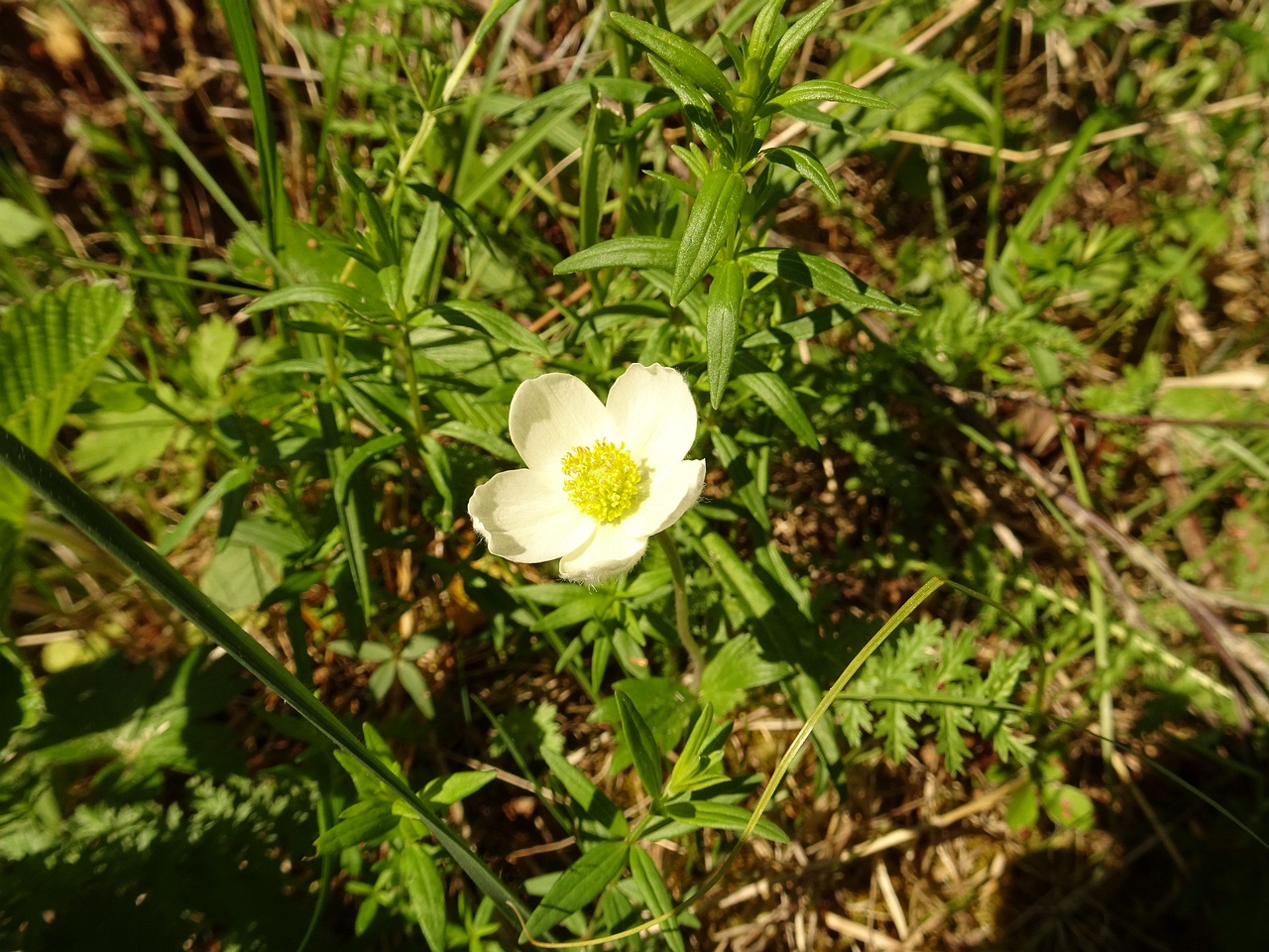 DSC08102