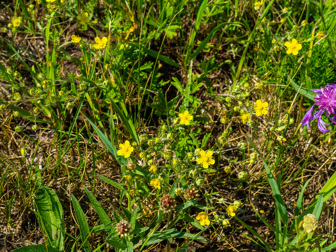 narva_highway_near_paekalda-19