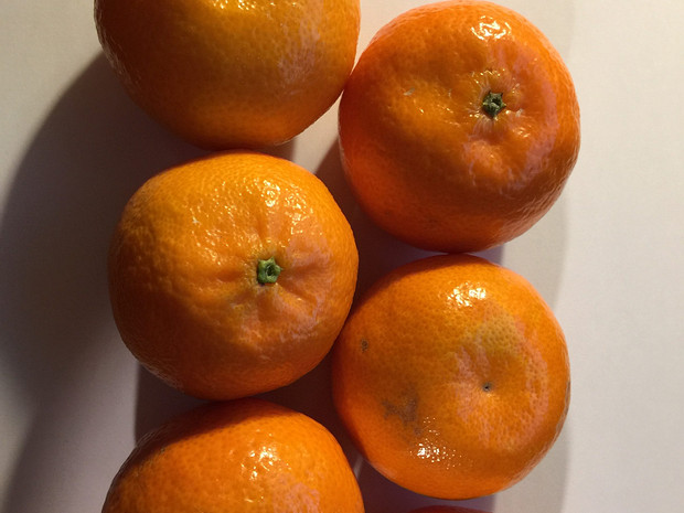 Цитрус танжерин - Citrus x tangerina