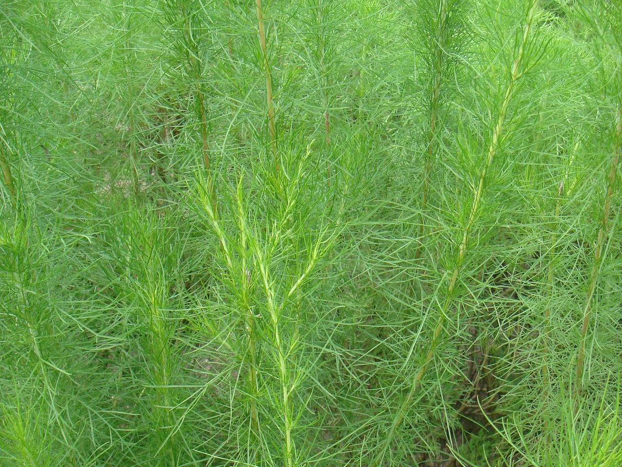 DSC05478