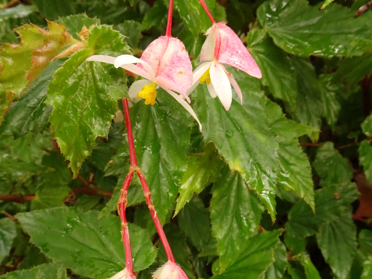 DSC07609