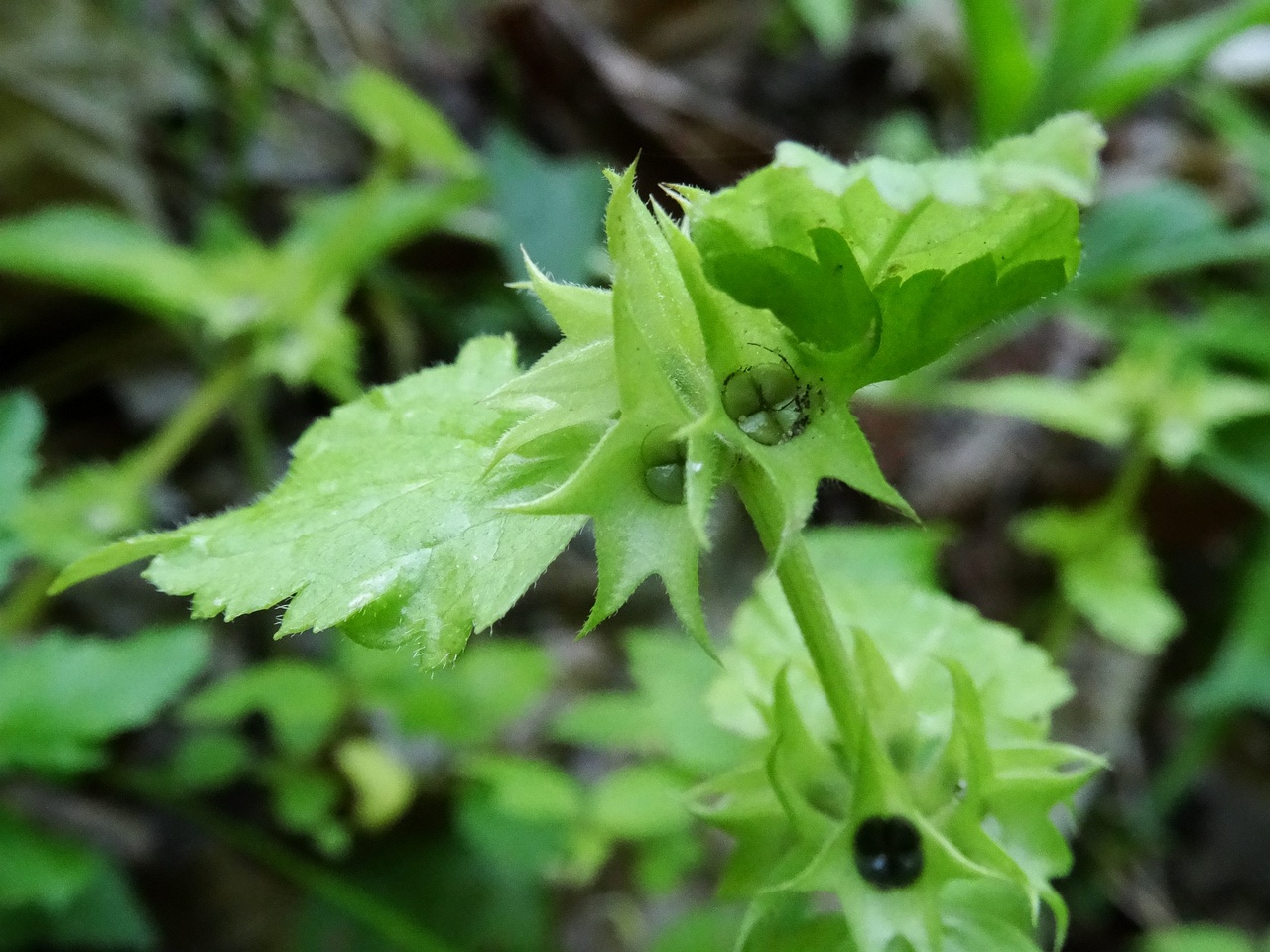 DSC00579