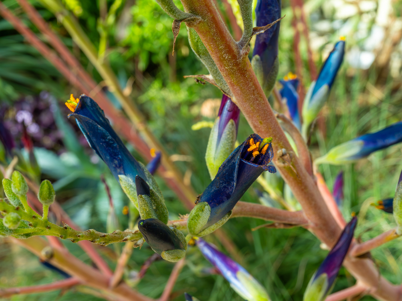 !tallinn_botanical_garden_palm_house_tropics-12