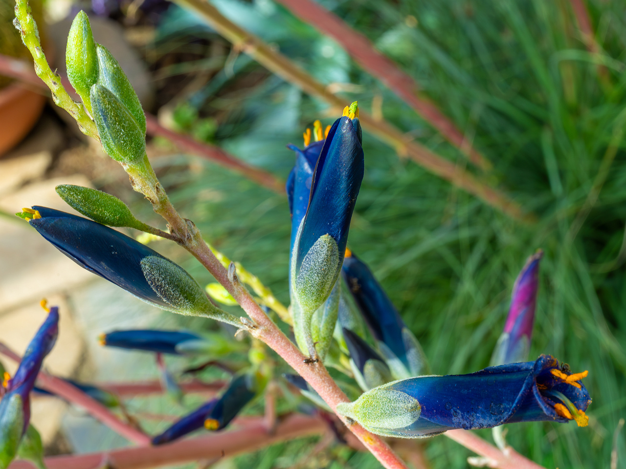 !tallinn_botanical_garden_palm_house_tropics-17