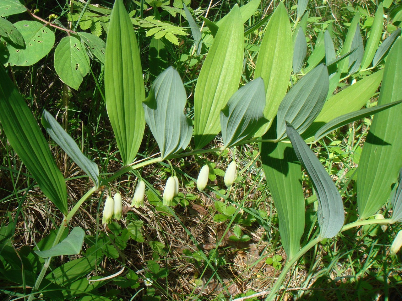 DSC01220