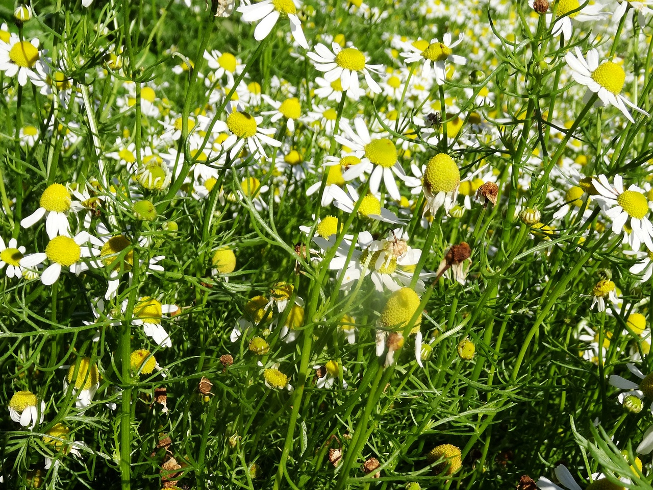 DSC03407