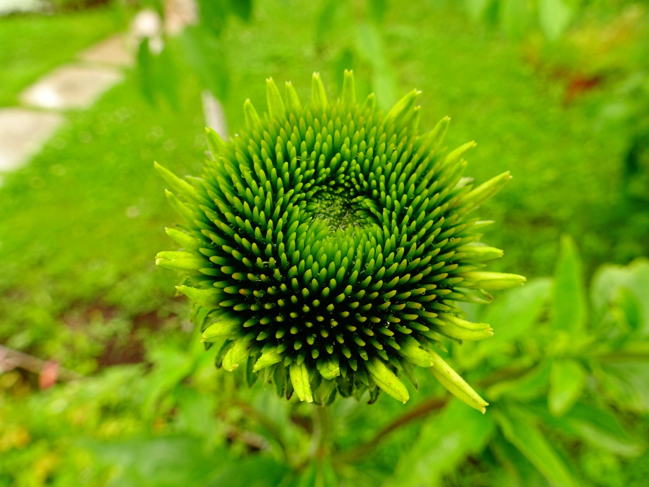DSC00146