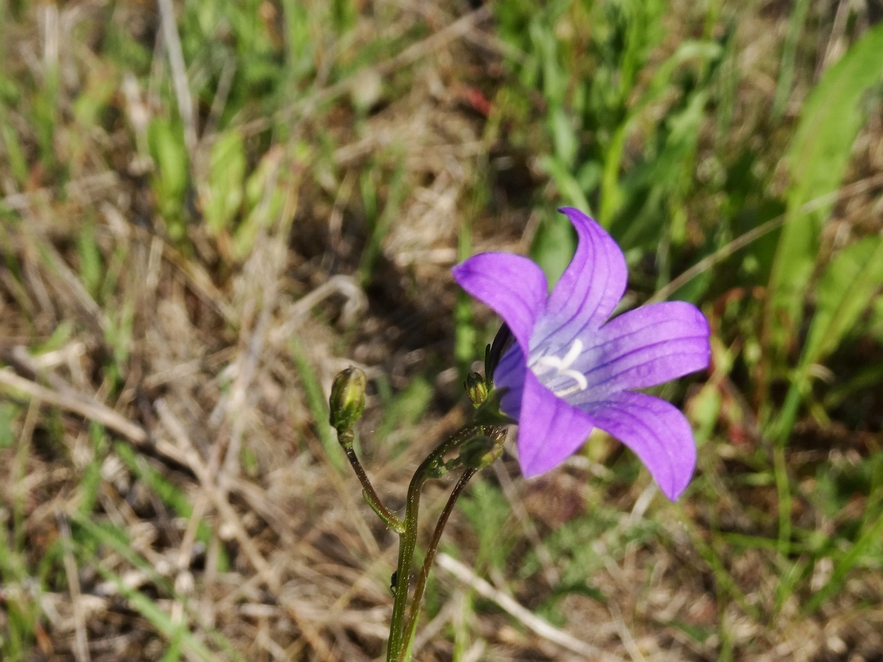 DSC00402