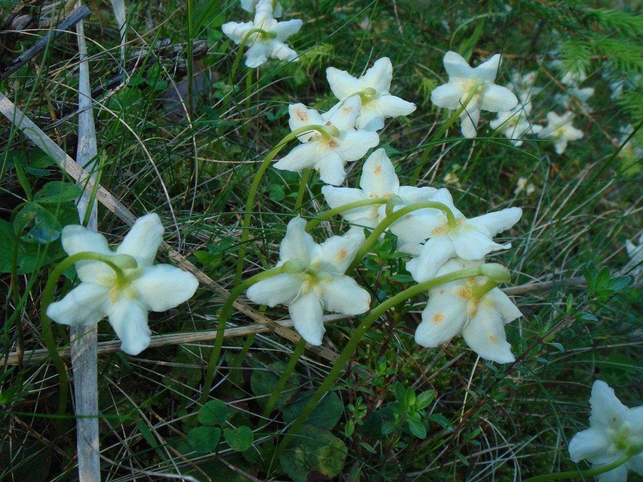 DSC00451