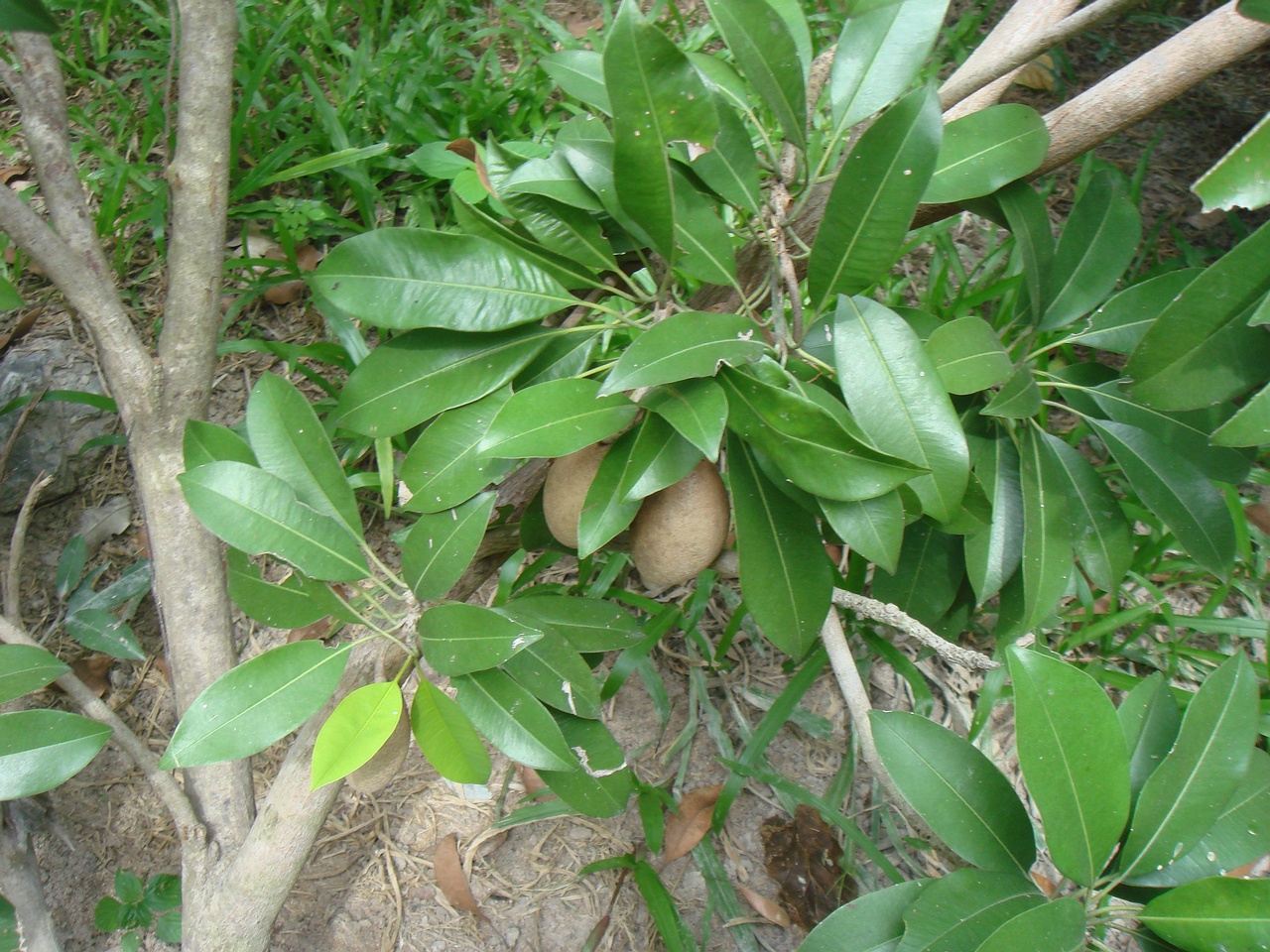 DSC05197