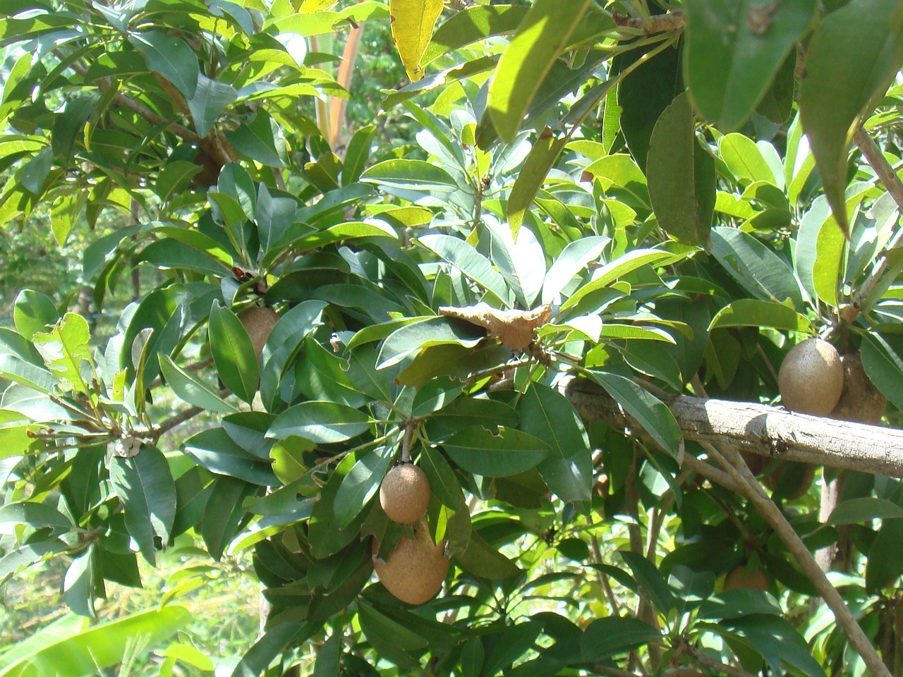 DSC05276
