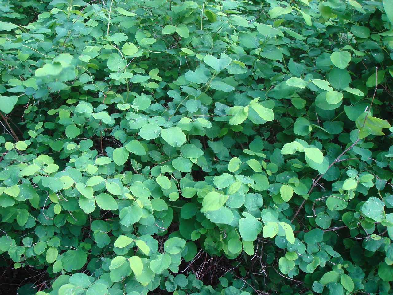 DSC01048