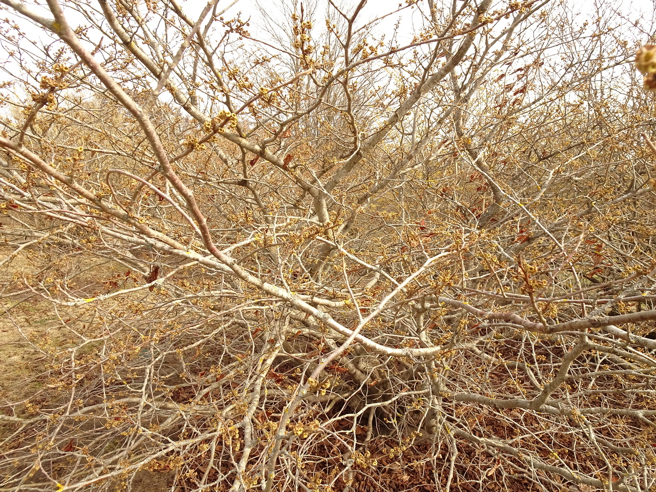 DSC01681