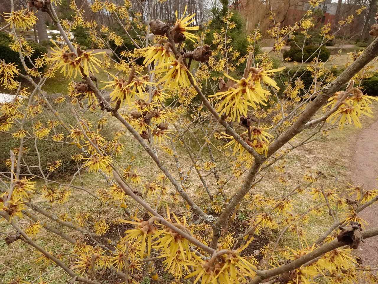 DSC00228