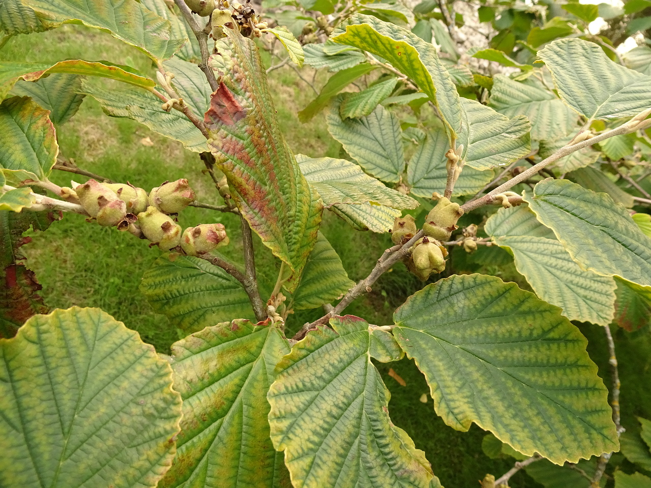 DSC05748