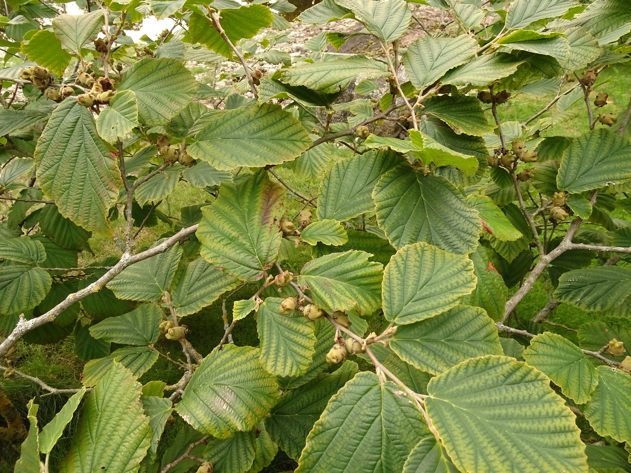 DSC05753