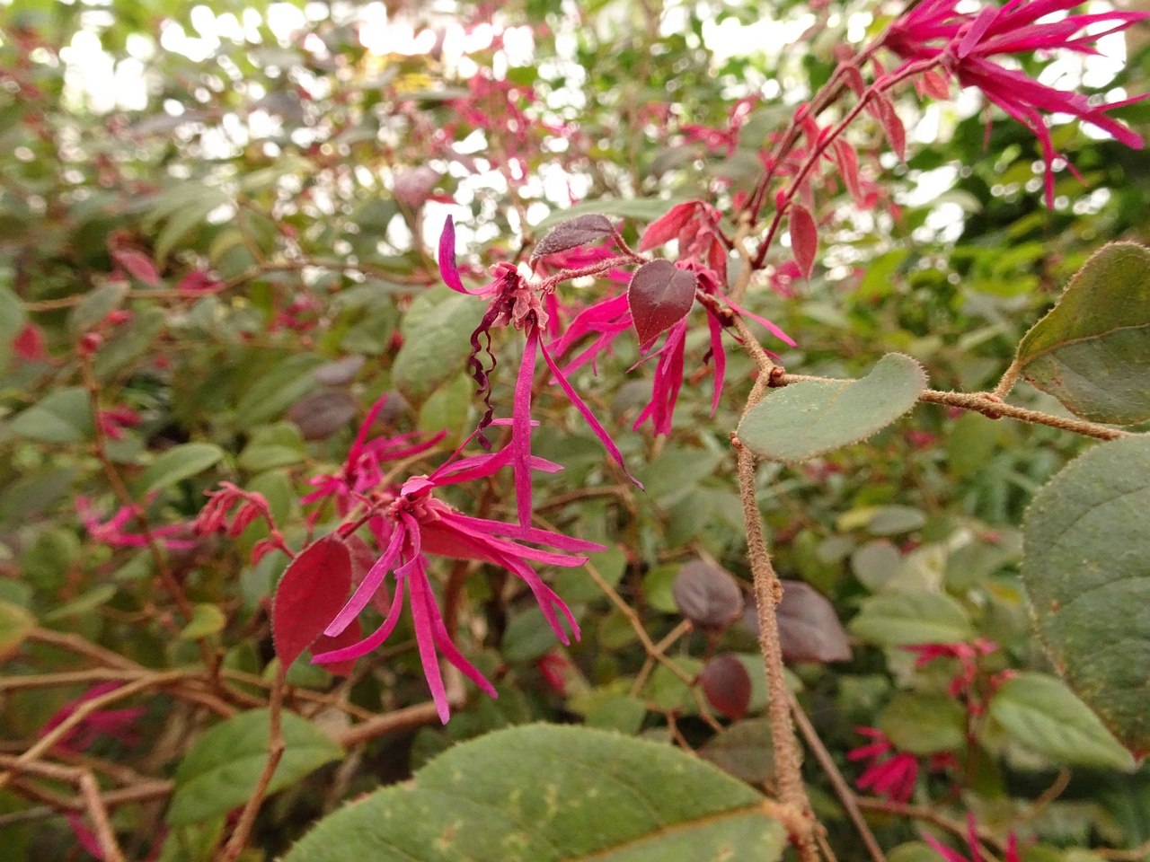 0DSC01634