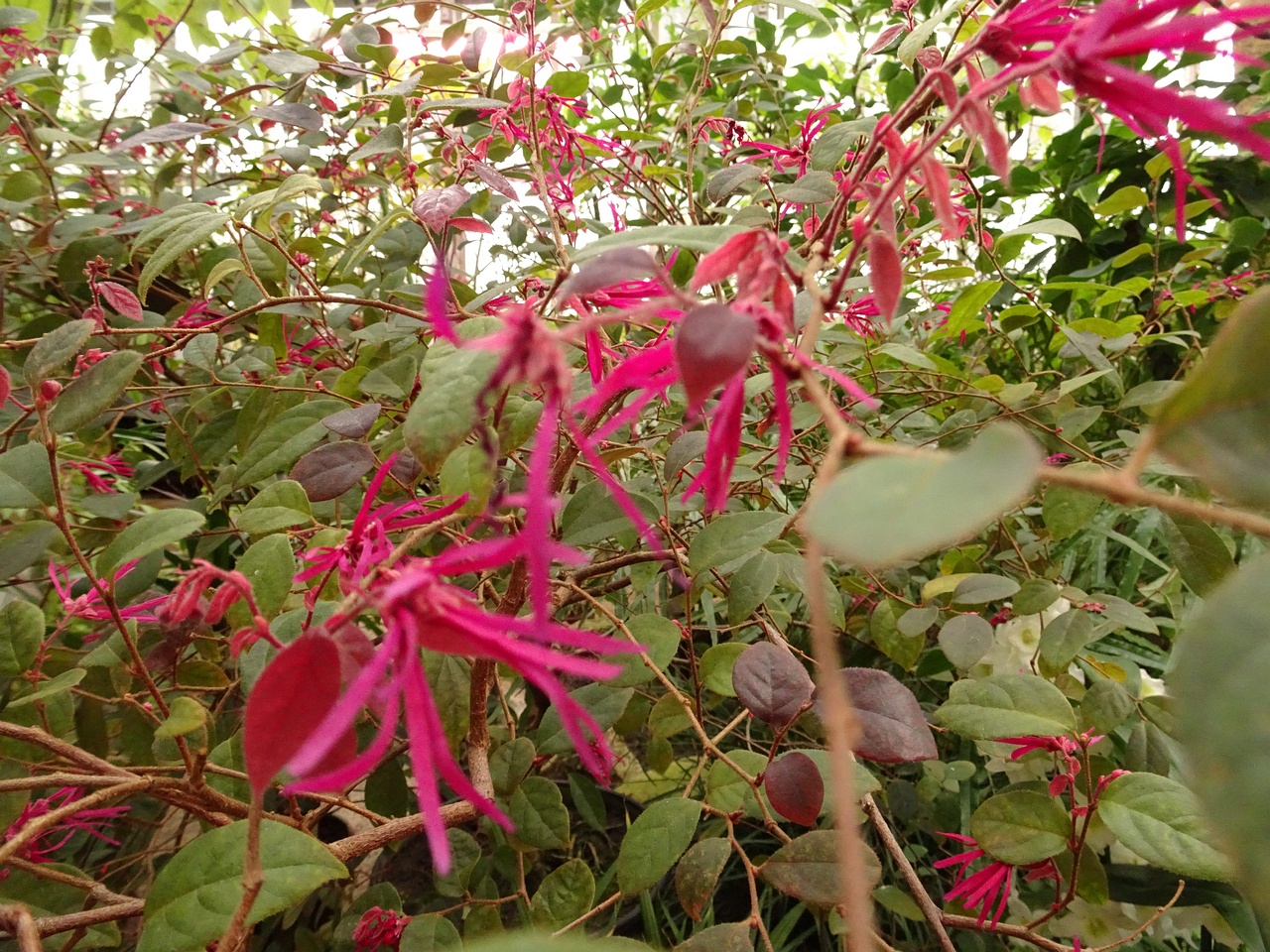 DSC01633