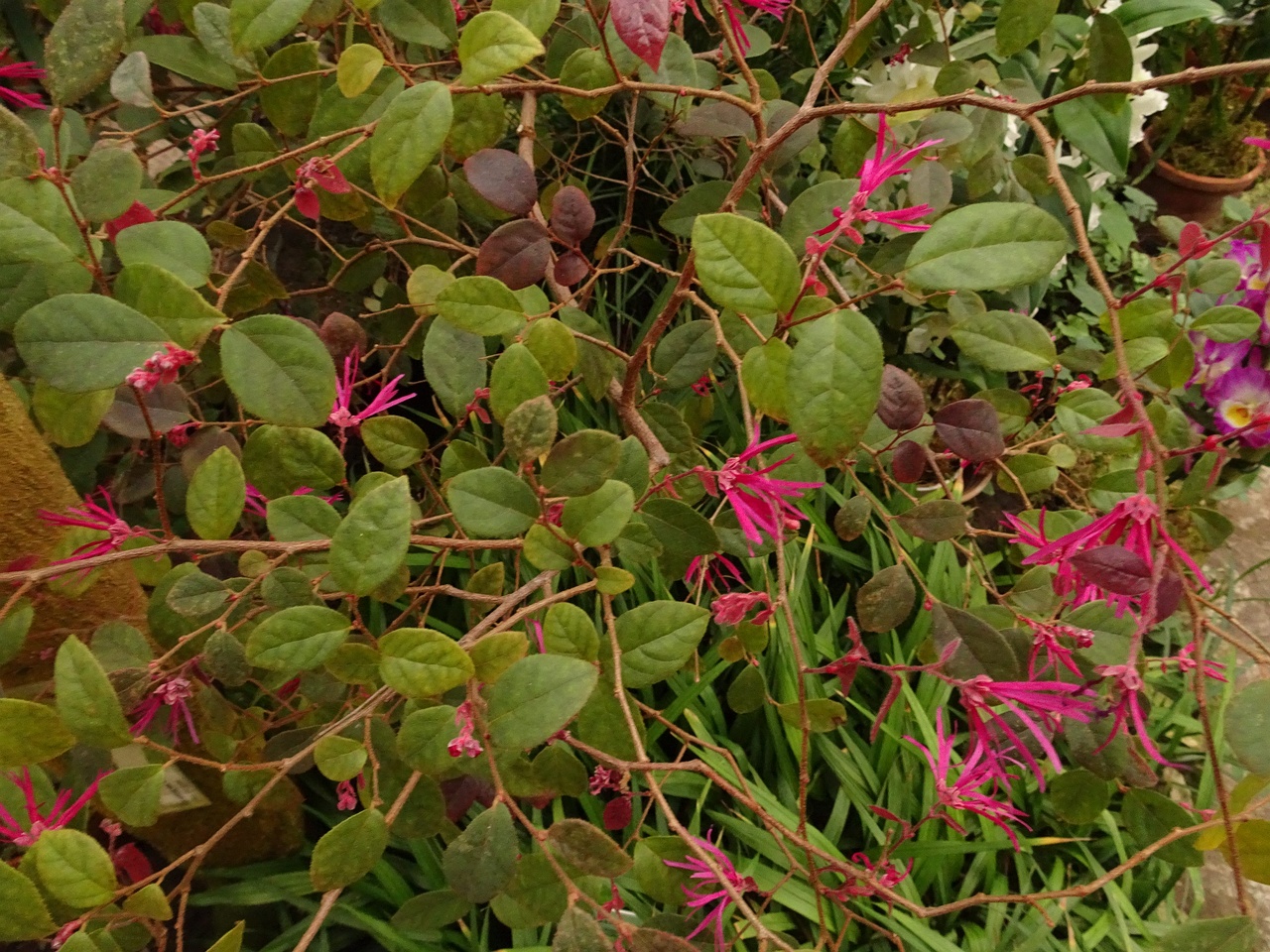 DSC01635