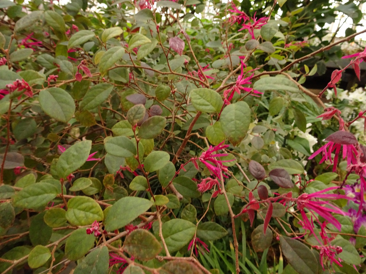DSC01637